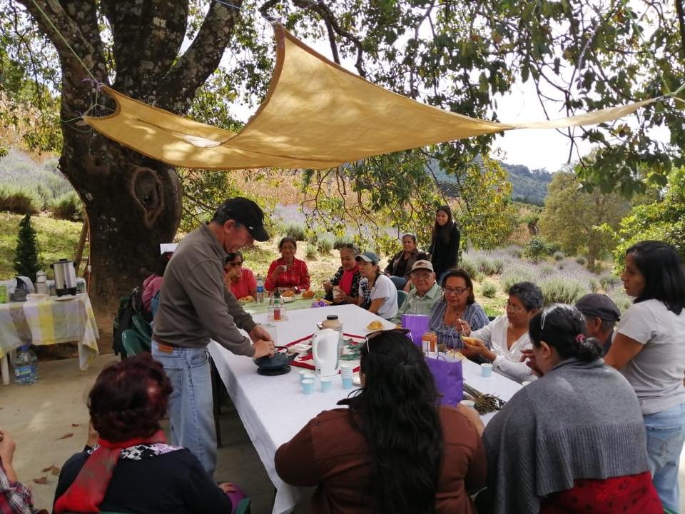 Viajero Reyna Tours 13
